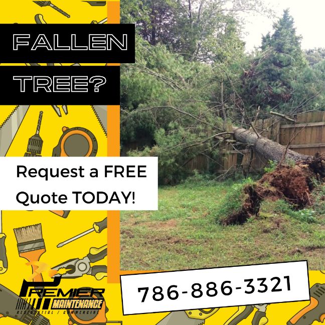 Fallen Trees Miami